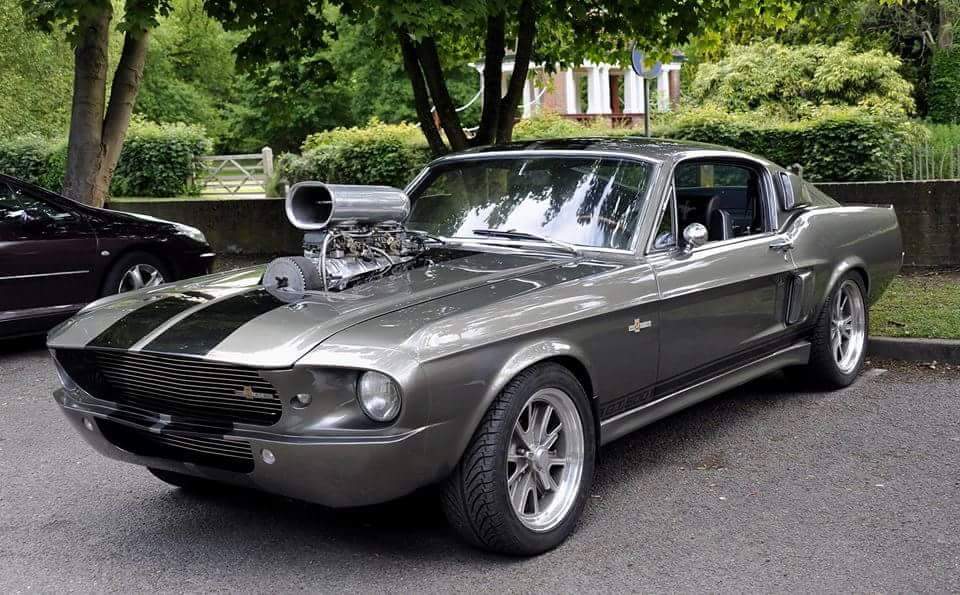 Ford Mustang Shelby Gt500 Eleanor 1967 Allegro